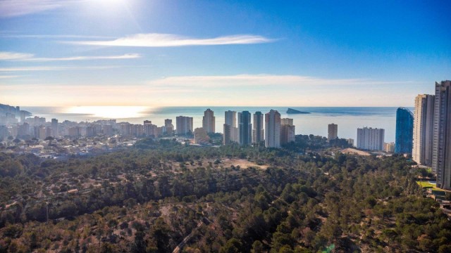 Benidorm ya tiene los nuevos pliegos para el contrato de parques y jardines que lleva caducado desde 2023