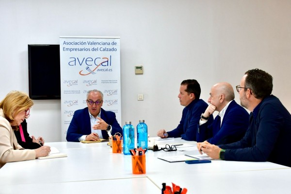 El PSOE reclama a Ruz y Mazón la apertura de la Learning Factory de Elche para avanzar en la digitalización del calzado
