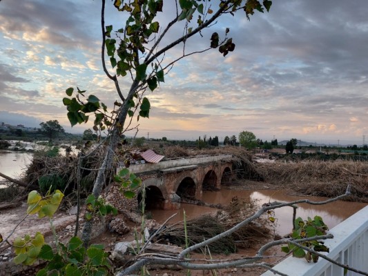 Un informe constata la asimetría en la recuperación económica de la zona cero de la Dana