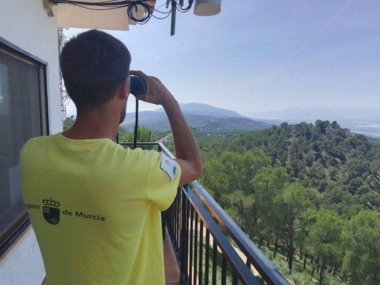 Comienza el peligro para los bosques de la Región: activada la red de vigilancia fija contra los incendios forestales