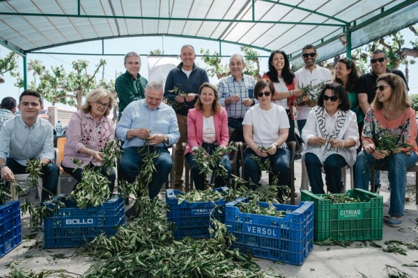 Castelló se prepara para las fiestas en honor a la Mare de Déu del Lledó con 
