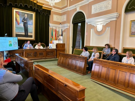 Castelló destina un millón de euros en ayudas para los comercios afectados por las obras de la ZBE