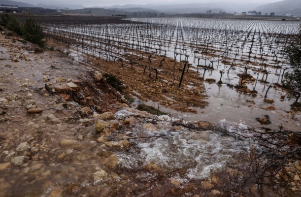 El Gobierno destina 1,7 millones para reparar caminos agrícolas de Cheste dañados por la Dana