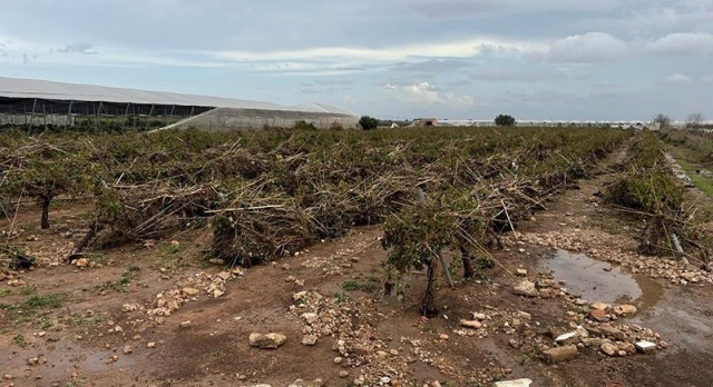 Organizaciones agrarias piden 