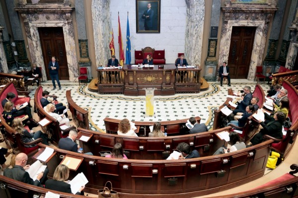 Vox y la oposición tumban la creación del nuevo Consejo Local de Inclusión de València