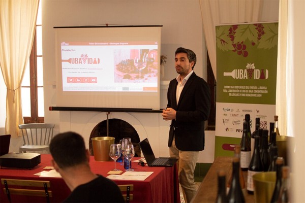 UBAVIDA: el proyecto que apuesta por vinos de calidad con baja graduación y sin alcohol
