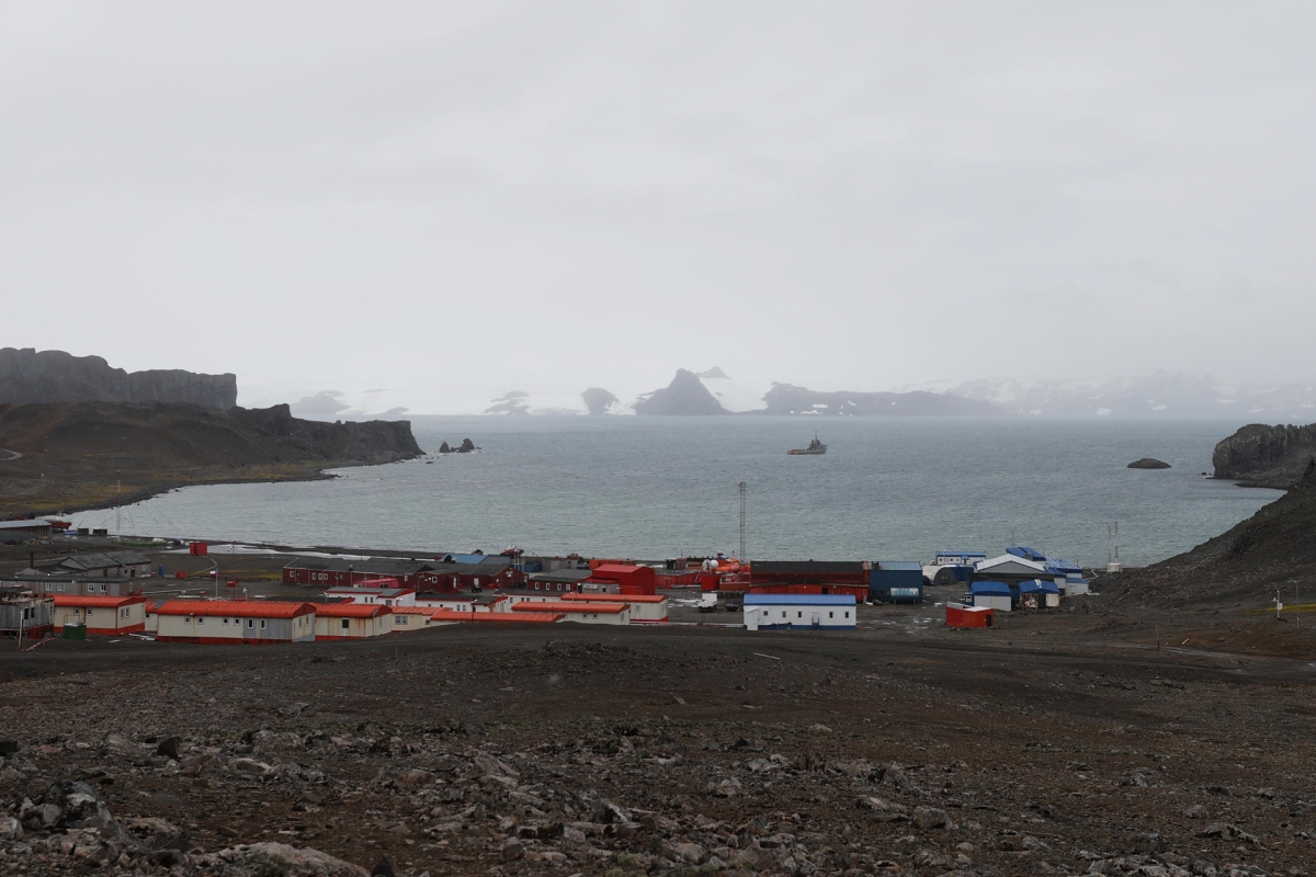 Evacúan el sur de Chile por riesgo de tsunami tras un terremoto de magnitud 7,4
