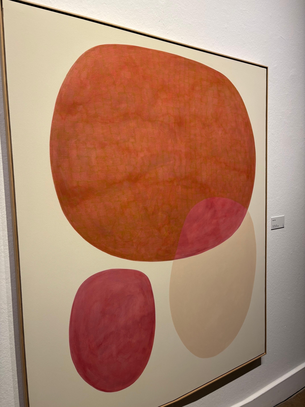  - Foto. AYTO. MURCIA