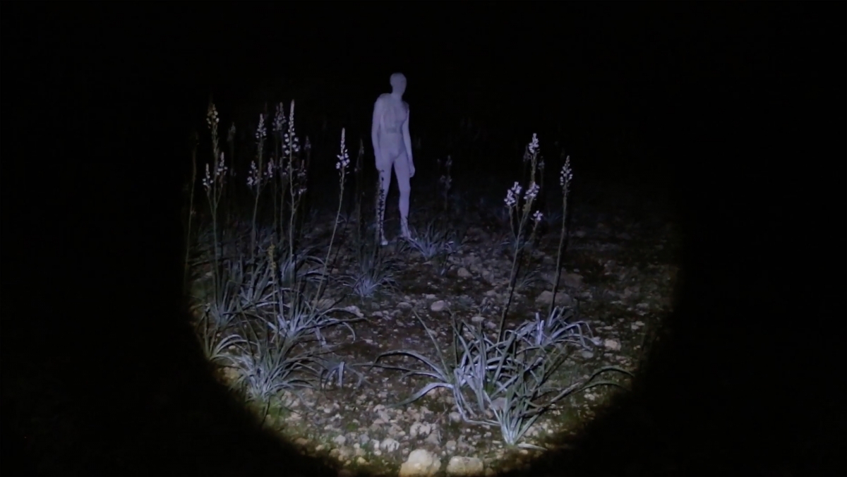 Bella Báguena, Swimming in the Forest, 2018, vídeo, monocana - BELLA BÁGUENA Bella Báguena, Swimming in the Forest, 2018, vídeo, monocana