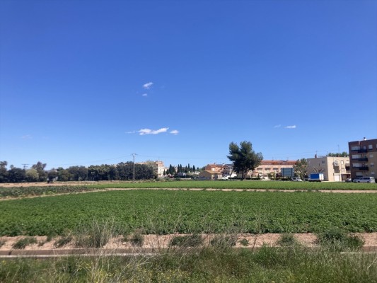 Per l'Horta denuncia el proyecto del Ayuntamiento de Vinalesa que 