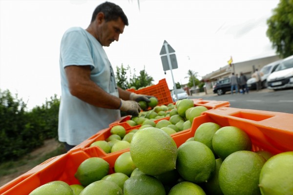 Empresas de la Región del sector alimentario se preparan para conquistar el mercado de EE UU en Chicago
