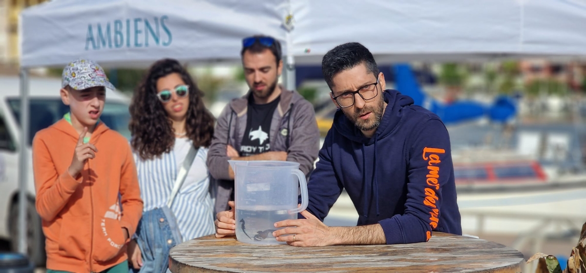 Proyecto de colaboración entre el Ayuntamiento de Alboraya, el Oceanogràfic, Ambiens y la Marina de Port Saplaya. - Foto: AYUNTAMIENTO DE ALBORAYA