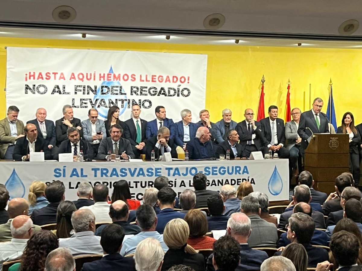  - Foto: MURCIA PLAZA