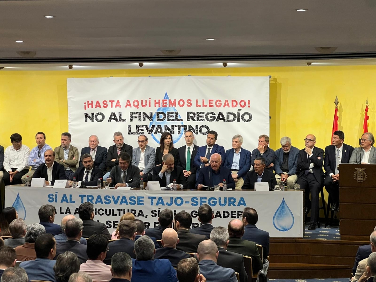  - Foto: MURCIA PLAZA