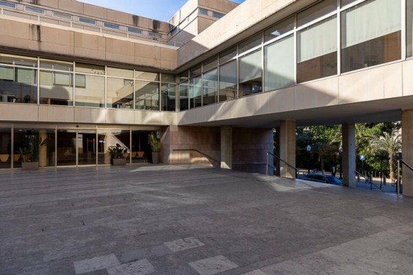 El Contencioso falla a favor del Fesep y da a Elche seis meses para desarrollar la carrera profesional 