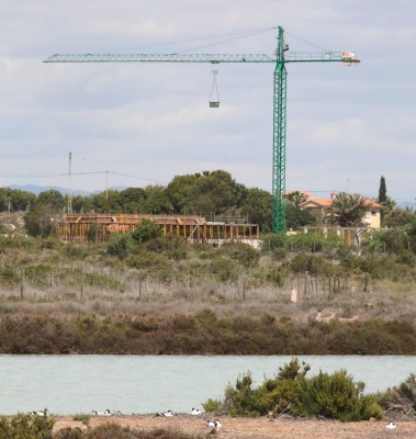  Los ecologistas denuncian el nuevo complejo del camping de La Marina en Elche por su impacto en el medio