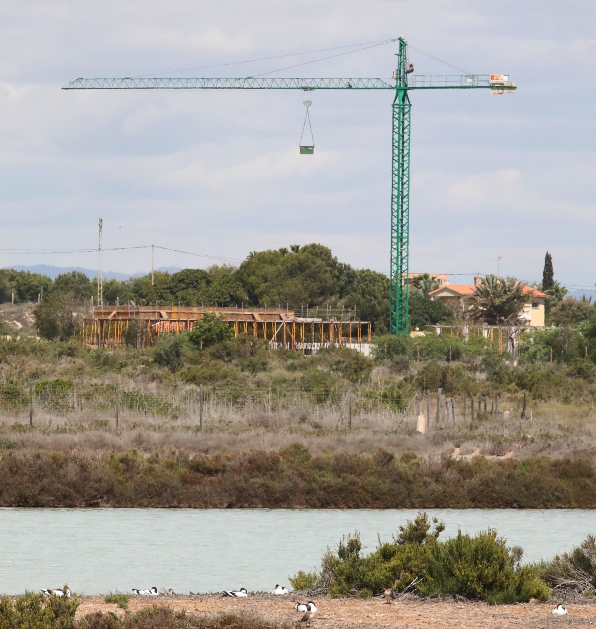  Los ecologistas denuncian el nuevo complejo del camping de La Marina en Elche por su impacto en el medio