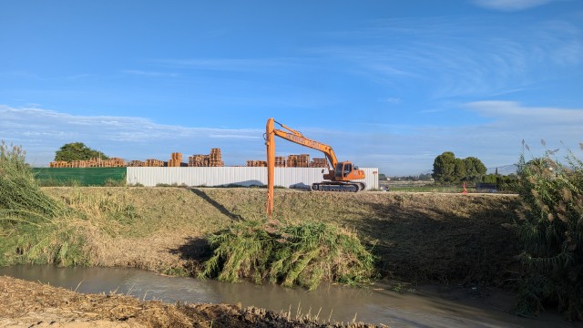 La CHS continúa con los trabajos de restauración del río Segura