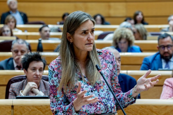 El Gobierno calcula que su investigación para esclarecer las causas del apagón durará entre tres y seis meses
