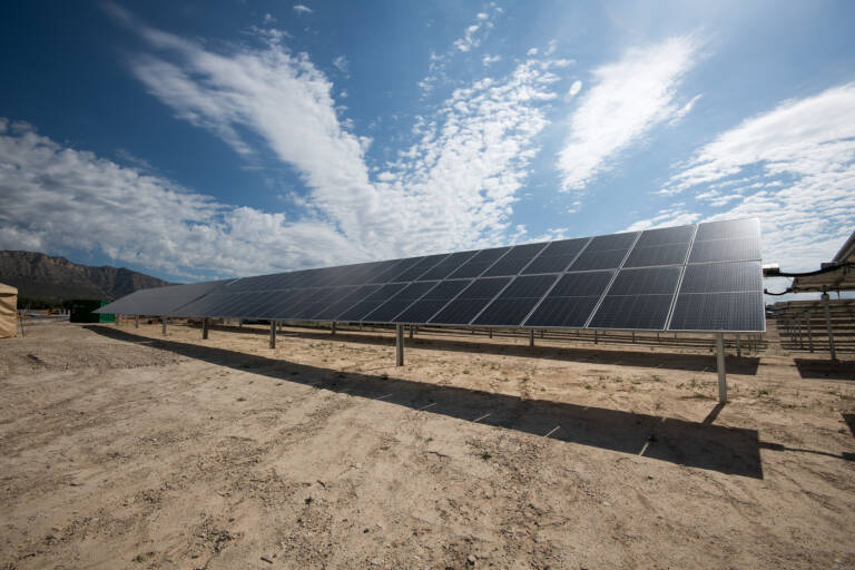 El proyecto de central fotovoltaica en Benicarló también ‘pincha’ por el impacto ambiental