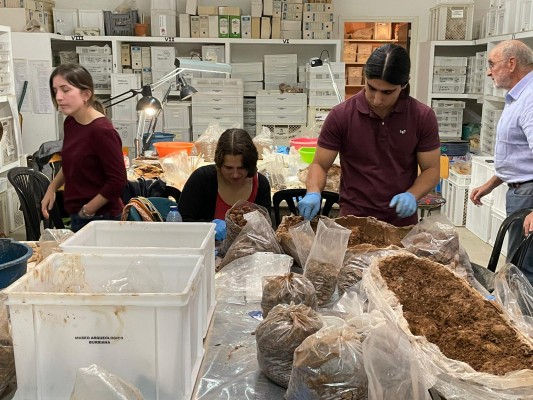Estudiantes de toda Europa visitan Burriana por el Curso Internacional de Arqueología 

