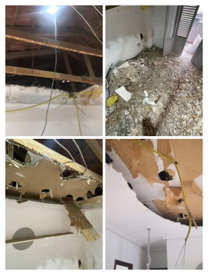 Otros colapsos silenciosos de San Antón en Elche: caída de techos y viviendas 'inhabitables' 