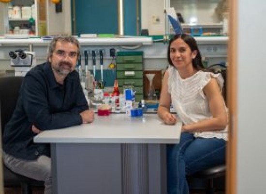 El Instituto de Neurociencias participa en una investigación sobre el síndrome de ovario poliquístico financiada por La Marató de Cat3