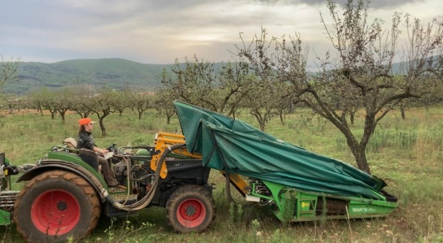 Atzeneta convoca a la resiliència i revitalitza l'agricultura i la ramaderia de la comarca  