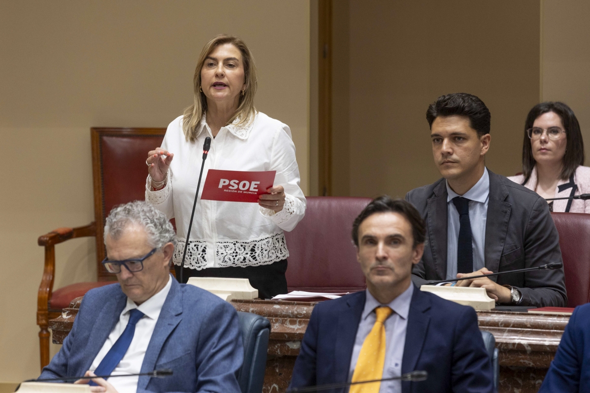Carmina Fernández, portavoz del PSOE. - Foto: EFE/MARCIAL GUILLÉN Carmina Fernández, portavoz del PSOE.
