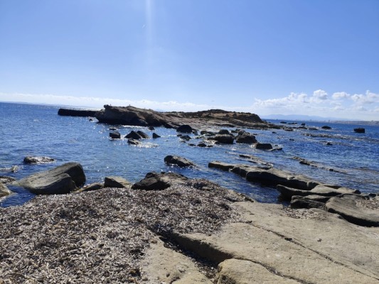 Tabarca: paraíso o infierno