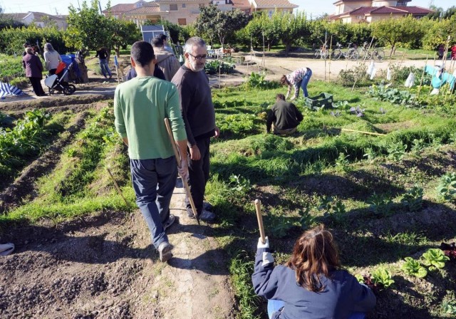 Estas son las 63 parcelas municipales para huertos de ocio que salen a sorteo público en Murcia