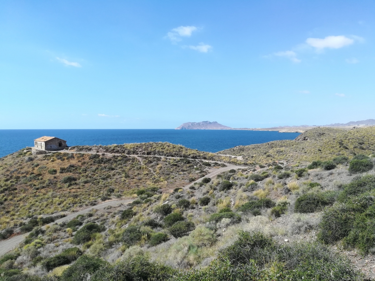 Medio Ambiente analiza los hábitats vegetales del Parque Regional Calnegre y Cabo Cope