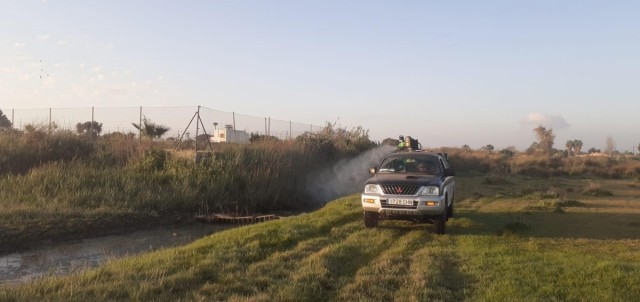 Castelló continúa con la lucha contra los mosquitos en la marjal, el Grau e imbornales