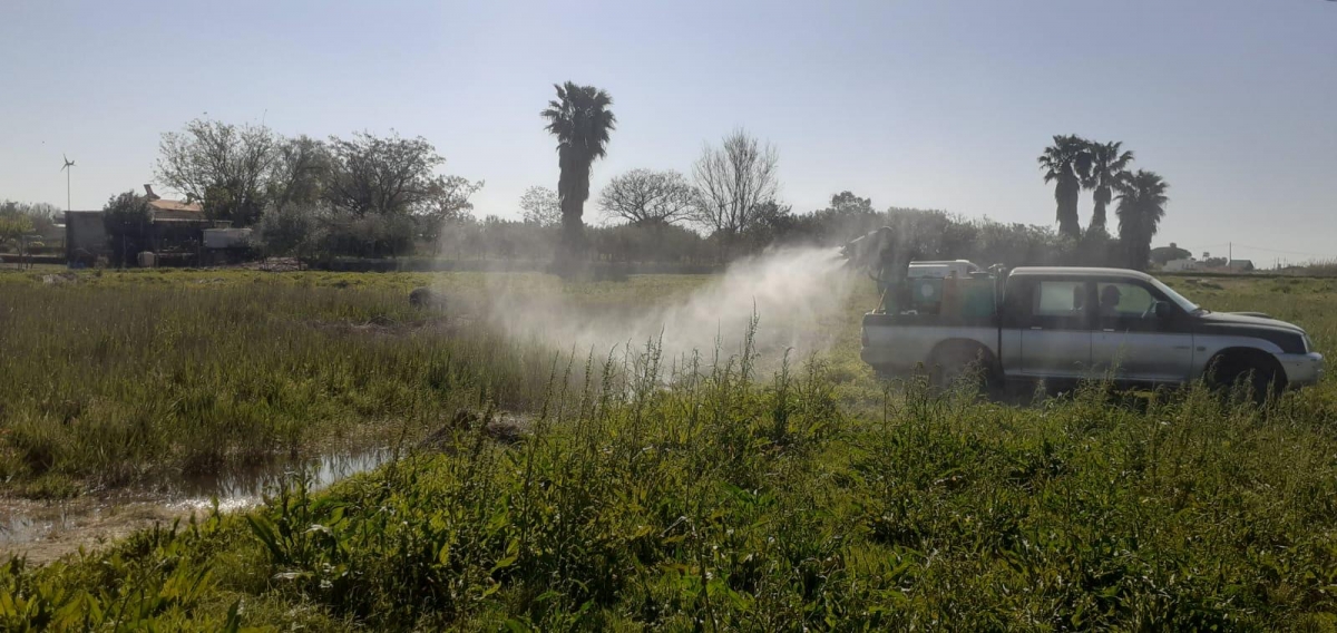  - Foto: AYUNTAMIENTO CASTELLÓ