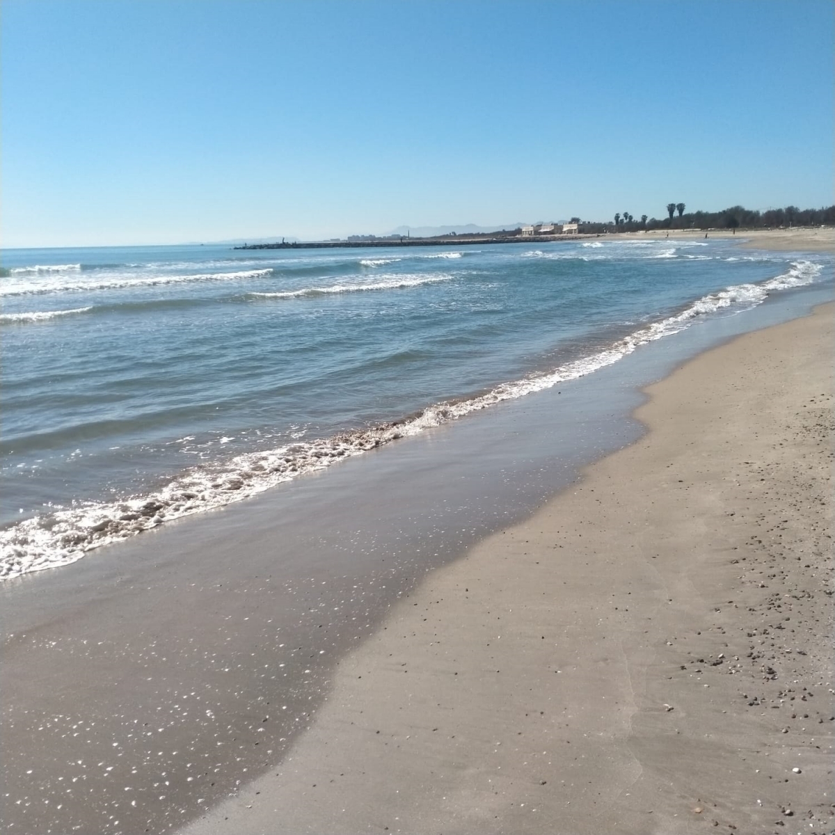 El arenal regenerado de las playas del sur de València pierde ocho metros en año y medio, 