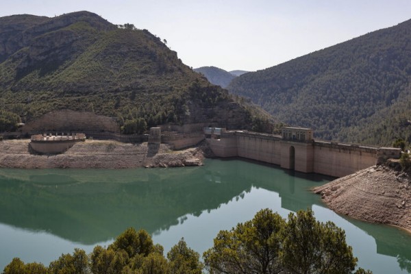Unanimidad en Les Corts para convalidar el decreto de ayudas a agricultores y ganaderos por la sequía