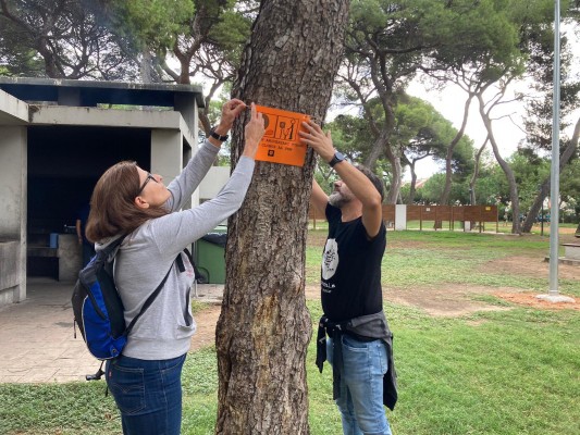 La reivindicació arriba al Grau: veïns reivindiquen el Pinar com un espai natural net 