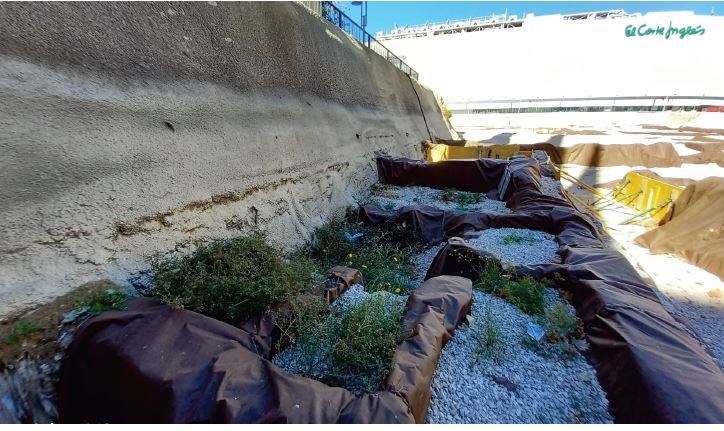  - Foto: AYTO DE MURCIA