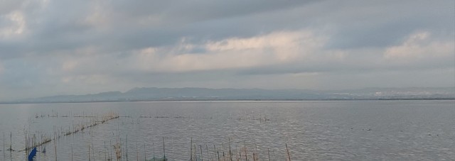 El Ayuntamiento acuerda hacer un estudio sobre la navegación en la Albufera y las barcas que puede acoger