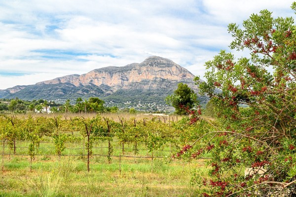 Coster d'en Sala devuelve la vida al paisaje de Xàbia en un ejemplo de sostenibilidad