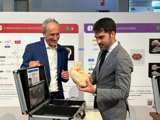 El Museo de la Ciencia expone órganos de animales reales plastinados de un proyecto europeo de la UMU