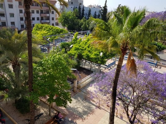 Imesapi remodelará la Plaza de la Constitución de Alhama por 1,5 millones para hacerla más accesible y familiar