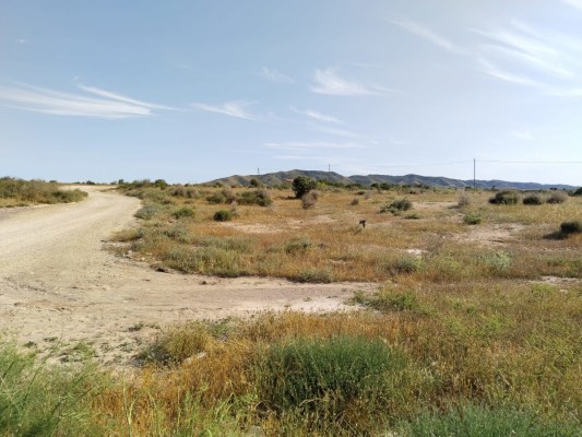 Cultura protegerá como bienes catalogados los yacimientos de Casa de Las Romeras, El Pozanco y Villa Aznar de Totana