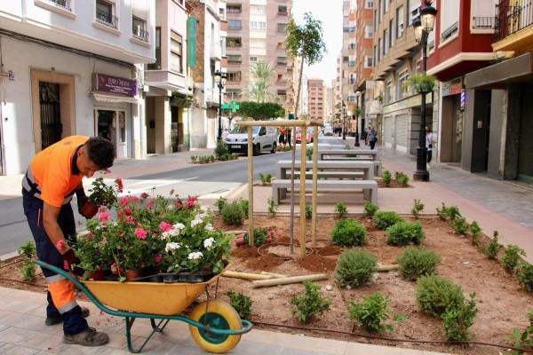 Las obras de la ZBE en la calle Trinidad entran en la recta final con el riego por goteo