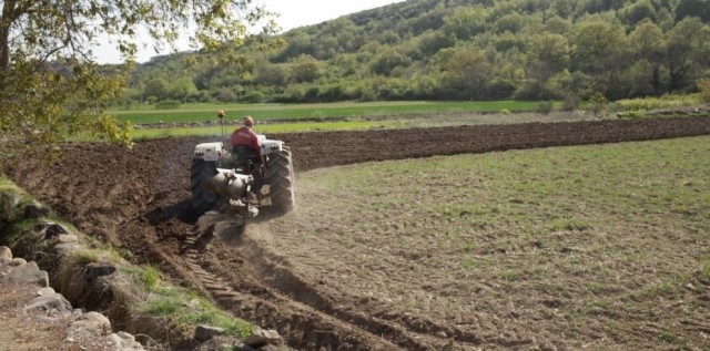 AVA-Asaja reclama ayudas directas para los agricultores que se han quedado fuera al eliminarse la extensión de garantías