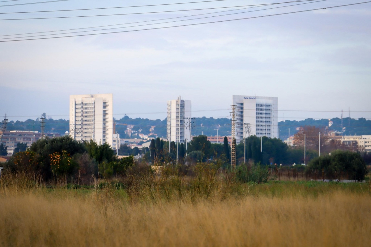 Imagen de archivo de Torrent.