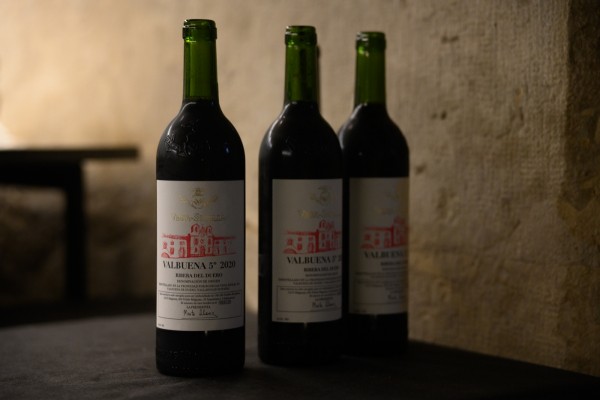 Agricultura destina 1,9 millones de euros a promocionar los vinos de la Comunitat Valenciana en terceros países