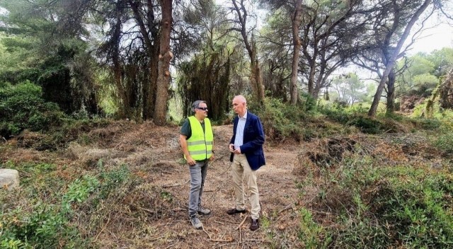 La Concejalía de Devesa-Albufera impulsa un primer servicio específico de limpieza para esta zona natural