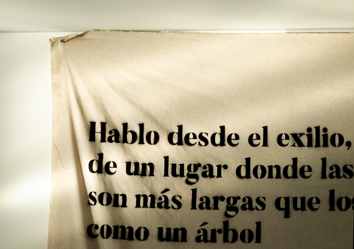 Obra de Adan Arreola.