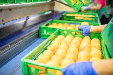 Mercadona eleva un 11% sus compras en la Región y gasta 1.820 millones en proveedores murcianos